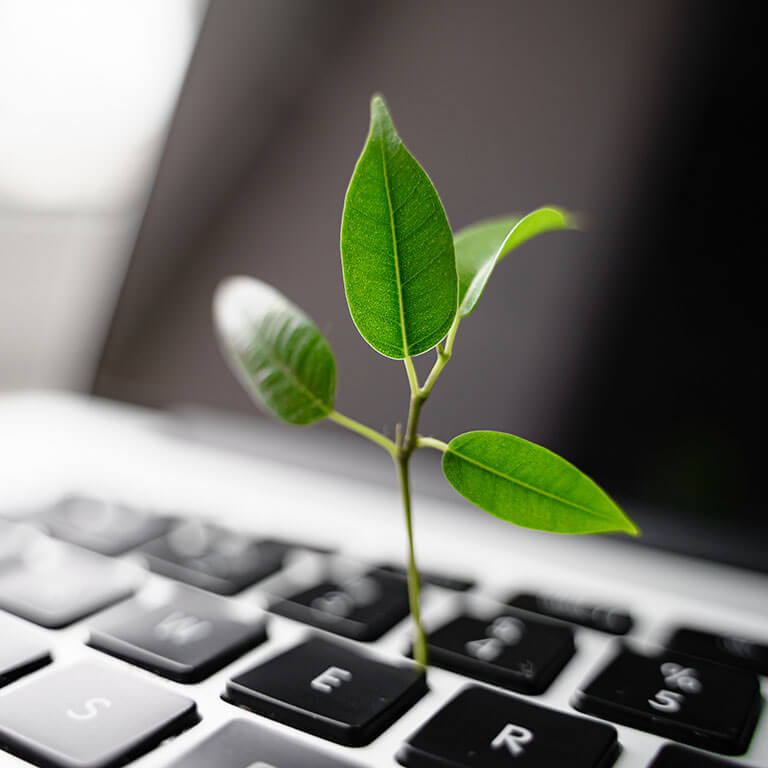 An illustration of a plant sprouting out of a computer keyboard. 